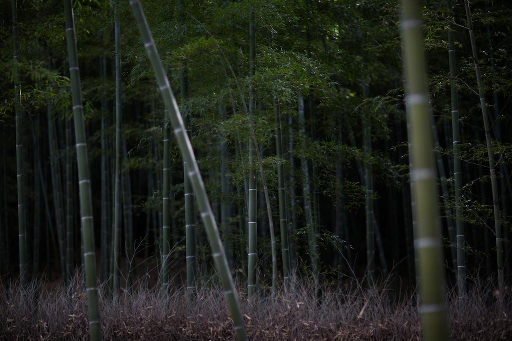 Kyoto Fushimi Ohana Muko Dış mekan fotoğraf
