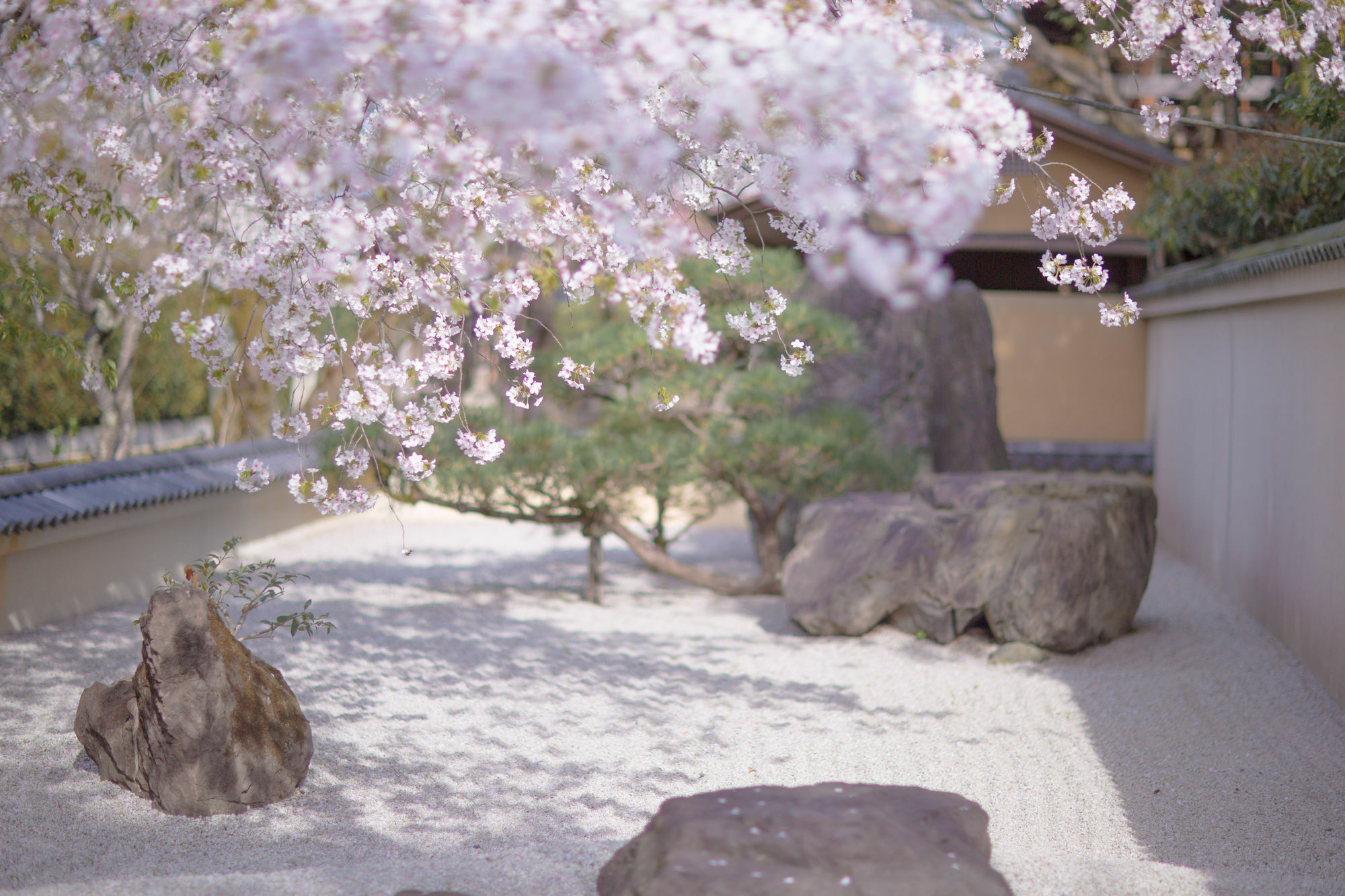Kyoto Fushimi Ohana Muko Dış mekan fotoğraf